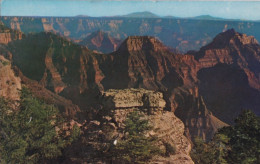 Bright Angel Point Grand Canyon National - Park Arizona - Formato Piccolo Viaggiata – FE170 - Sonstige & Ohne Zuordnung