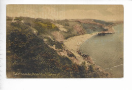 TORQUAY. ODDICOMBE BEACH. - Torquay