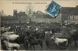 § - 89 - Yonne - Saint Sauveur - Le Champ De Foire - Saint Sauveur En Puisaye