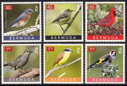 BERMUDA 2023 FAUNA Animals BIRDS - Fine Set MNH - Bermudes
