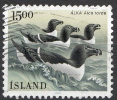 ISLANDE N°600 Oblitéré - Pingouins & Manchots