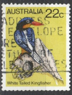 AUSTRALIE N°694 Oblitéré - Piciformes (pájaros Carpinteros)