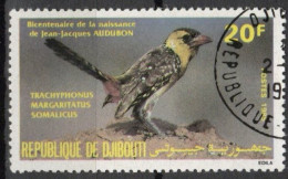 DJIBOUTI N°598 Oblitéré - Piciformes (pájaros Carpinteros)