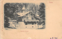 ROUMANIE - SINAIA - Castelul Foisor - Carte Postale Ancienne - Rumänien