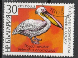 BULGARIE N°3175 Oblitéré - Pelicans