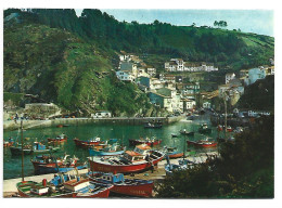 PUERTO PESQUERO / THE FISHING HARBOUR.- CUDILLERO / ASTURIAS .- ( ESPAÑA) - Asturias (Oviedo)