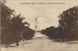 HUELVA , CONVENTO DE LA RÁBIDA - PASEO DE LAS PALMERAS , FOT. DIEGO CALLE    ,  T.P. NO CIRCULADA - Huelva