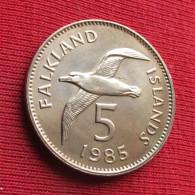 Falkland Islands 5 Pence 1985  UNC ºº - Falklandinseln