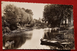 CPSM Petit Format -  Montréal -(Yonne) - Le Pont Sur Le Serein - Montreal