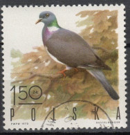 POLOGNE N°1842 Oblitéré - Pigeons & Columbiformes