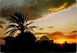 12-1-2024 (1 X 1)Tunisia - Mosque In Sunset - Judaisme