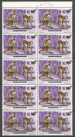 Congo Zaire COB 908 Bloc De 10, Surcharge Variété Constante: Barre Inférieure Plus Courte (position 37) MNH / ** 1977 - Unused Stamps