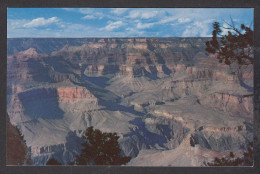 114918/ GRAND CANYON, Grand Canyon National Park , Near Pima Point - Grand Canyon