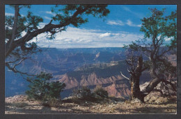 114915/ GRAND CANYON, Grand Canyon National Park  - Gran Cañon