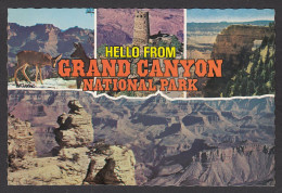 114913/ GRAND CANYON, Grand Canyon National Park  - Grand Canyon