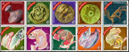 2000 Celebrate The Year Of The Dragon Zodiac Arowana Barramundi Fish Marine Life Pottery Vase Malaysia Stamp MNH #1 - Malaysia (1964-...)