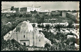 A66  MAROC CPA SAFI - LA VALLÉE DU CHABAH ET LA KECHLA - Verzamelingen & Kavels