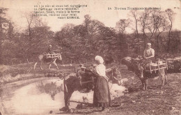 FRANCE - Normandie - Des Femmes Emmenant Les ânes à L'abreuvoir  - Carte Postale Ancienne - Basse-Normandie
