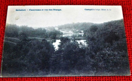 BOITSFORT  -  Panorama Et Vue Des étangs  -  1908 - Watermaal-Bosvoorde - Watermael-Boitsfort