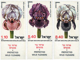 328244 MNH ISRAEL 1978 FLORES SILVESTRES DE ISRAEL - Ongebruikt (zonder Tabs)