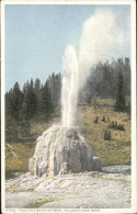 11491559 Yellowstone_National_Park The Lone Star Geyser - Autres & Non Classés