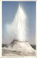 11491553 Yellowstone_National_Park Castle Geyser - Autres & Non Classés