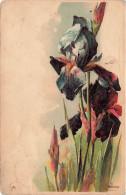 FLEURS - Peinture De Catharina Klein - Dos Non Divisé  - Carte Postale Ancienne - Fleurs