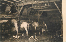 Horses Animals Related Postcard Van Kuyck Louis Horses In Stable - Chevaux