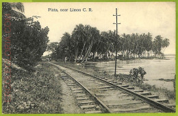 12730 - COSTA RICA - Vintage Postcard  - Pinta, Near Limon C.R. - Costa Rica