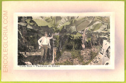 Aa6062 - COSTA RICA - Vintage Postcard  - Plantacion De Banano - Costa Rica