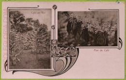 Aa6066 - COSTA RICA - Vintage Postcard  - Flor De Cafe - Costa Rica