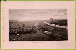 Aa6070 - COSTA RICA - Vintage Postcard  - Finca De Bananos - Costa Rica