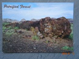 PETRIFIED FOREST NATIONAL PARK - Autres & Non Classés