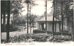 CPA Carte Postale Belgique Flobecq  Caplette  Pottelberghe 1917 VM75951ok - Flobecq - Vlösberg