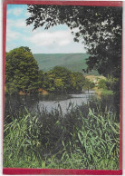 LA VIEILLE THIELLE  Biotope à Sauvegarder - Thielle