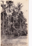 Real Photo Coconut Planter' S House - Philippines