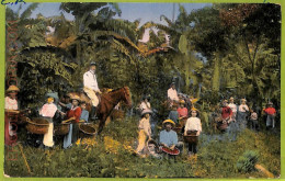 Aa6116 - COSTA RICA - Vintage Postcard - Ethnic - Costa Rica