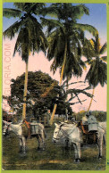 Aa6117 - COSTA RICA - Vintage Postcard - Ethnic - Costa Rica