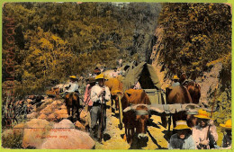 Aa6128 - COSTA RICA - Vintage Postcard - Angostura - 1911 - Costa Rica