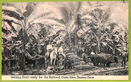 Aa6139 - COSTA RICA - Vintage Postcard - Banana Farm - Costa Rica