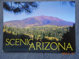 SCENIC ARIZONA - Altri & Non Classificati