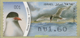 242673 MNH ISRAEL 2010 PAJARO - Ongebruikt (zonder Tabs)