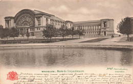 BELGIQUE - Bruxelles - Musée Du Cinquantenaire - Carte Postale Ancienne - Museums