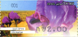 298215 MNH ISRAEL 2013 FLORES EN PELIGRO - Ongebruikt (zonder Tabs)