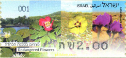 298216 MNH ISRAEL 2013 FLORES EN PELIGRO - Ongebruikt (zonder Tabs)