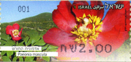 300075 MNH ISRAEL 2013 FLOR - Ongebruikt (zonder Tabs)