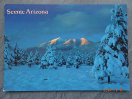 SCENIC ARIZONA - Altri & Non Classificati