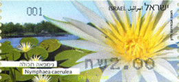 307897 MNH ISRAEL 2013 MARGARITA - Nuovi (senza Tab)