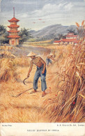 CPA CHINE / MILLET HARVEST IN CHINA - China