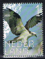 D(B) 212 ++ NEDERLAND NETHERLANDS BIRDS OF PREY ROOFVOGELS OISEAUX MNH ** - Ongebruikt